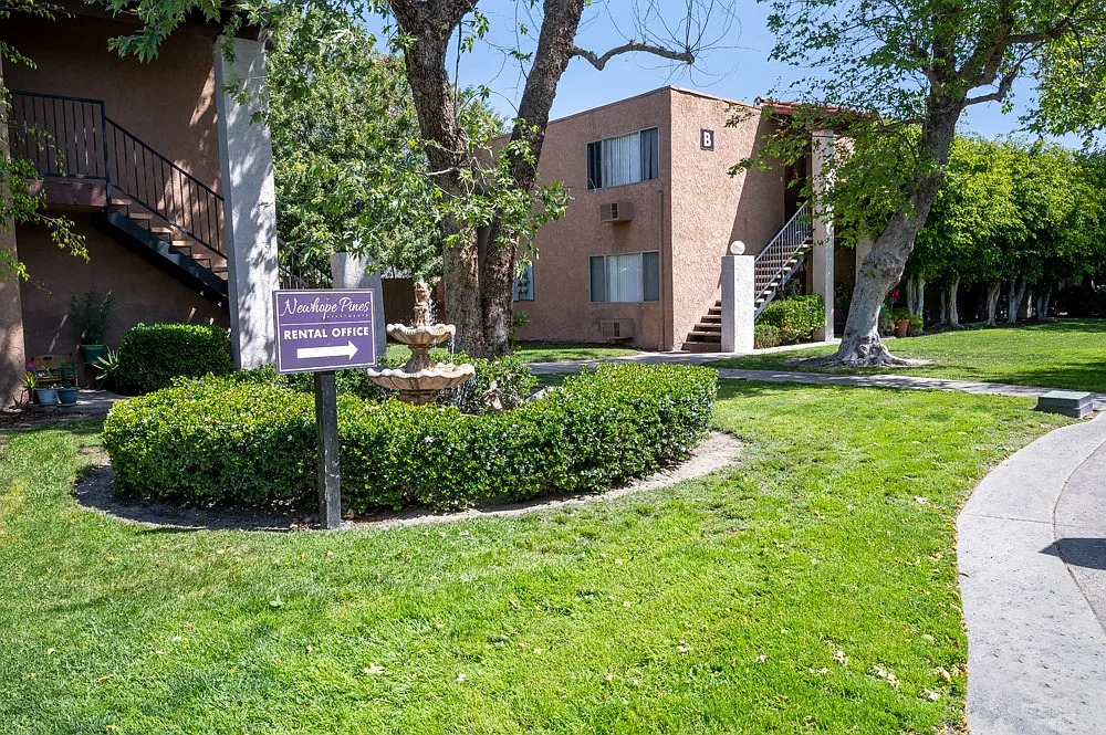 Newhope Pines Apartments — Photo 3
