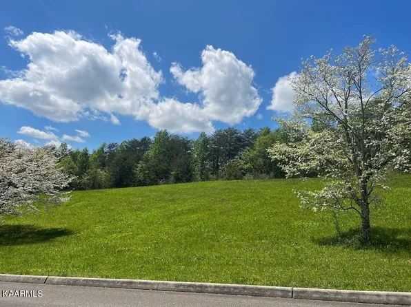 121 Hughes Rd, Greenback, TN 37742