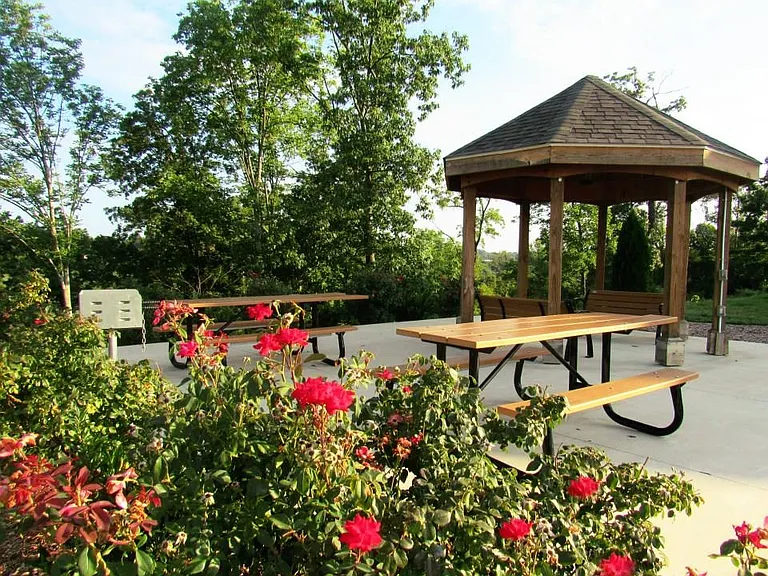 Picnic area