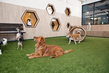 Rented by The Dermot Realty Management Company