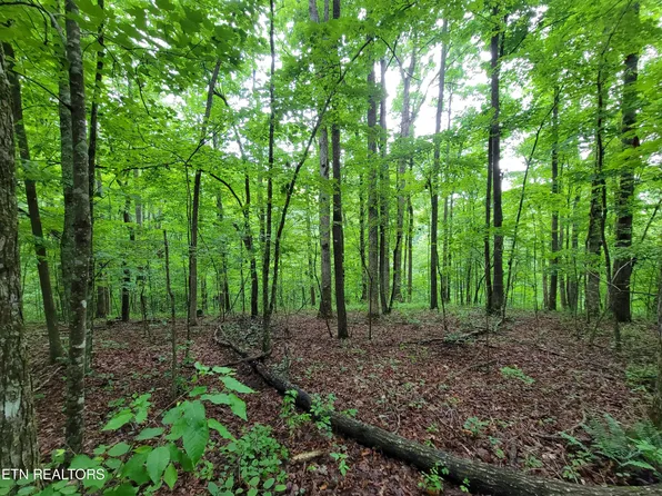 East Pl, Monterey, TN 38574