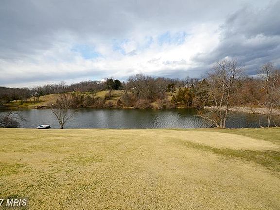 Fish or Swim in the Pond