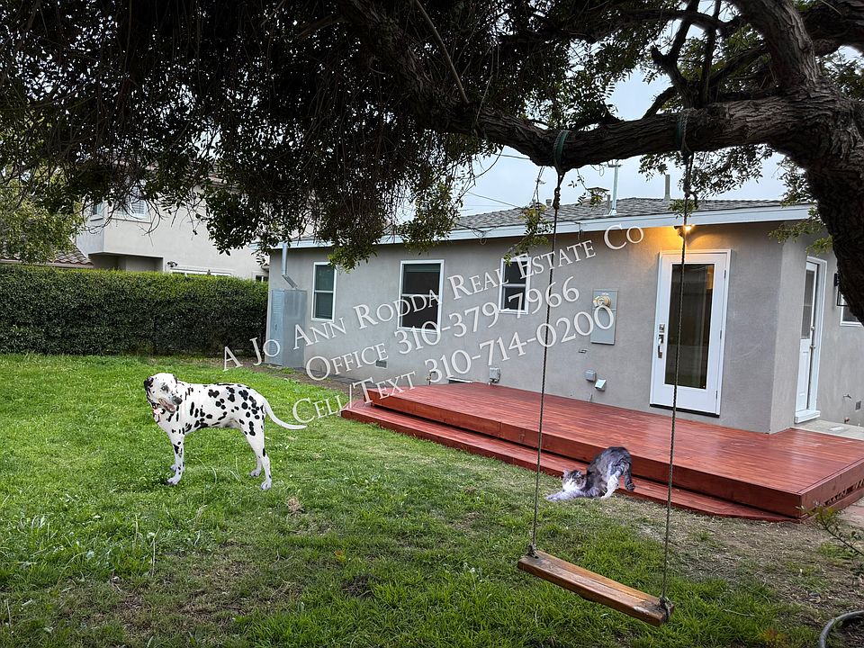 Back yard-One dog and/or cat considered for extra monthly fee
