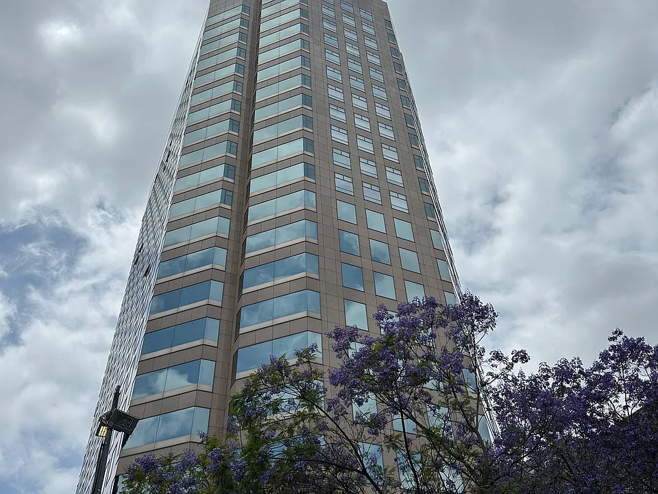 801 S Grand Ave #1812