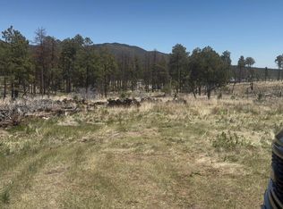 32 Dry Creek Dr, Timberon, NM 88350
