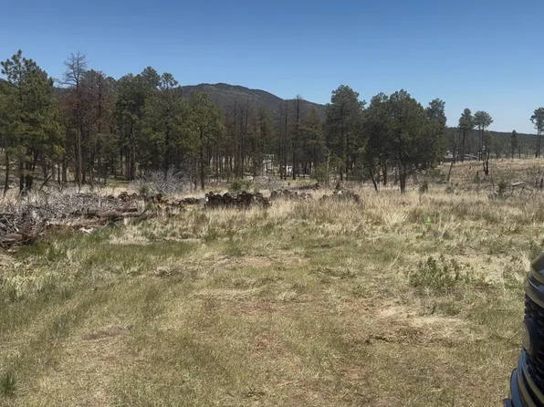 32 Dry Creek Dr, Timberon, NM 88350