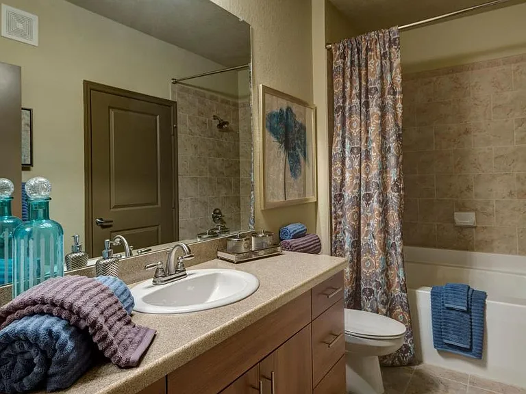 The Courtney at Bay Pines — Photo 6