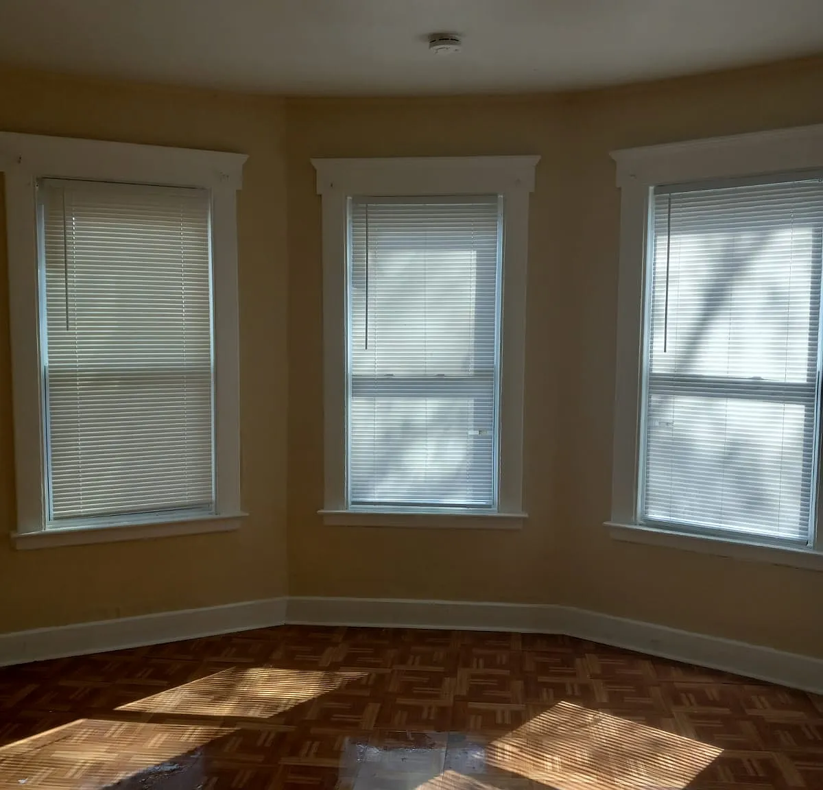 48 Hurlburt Street - 3 — Photo 1
