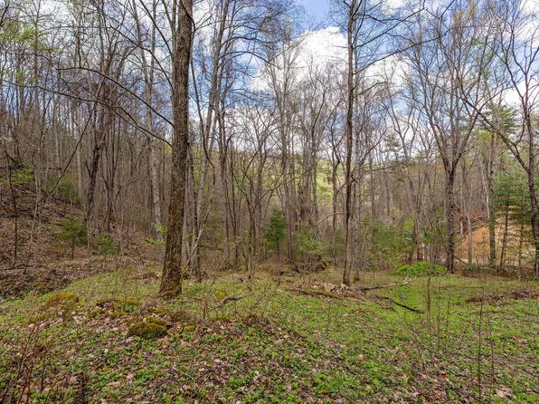 0 Johns Creek Rd, Del Rio, TN 37727