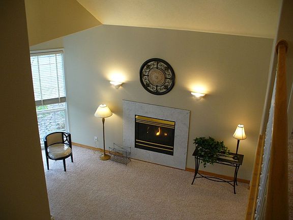 Gas fireplace