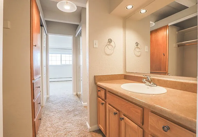 50 N Clarkson St #302 — Photo 14