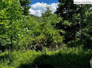 Tbd Love Hollow Rd, Vilas, NC 28692