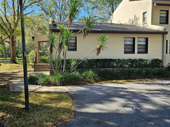 1000 Tarpon Woods Blvd APT 804, Palm Harbor, FL 34685