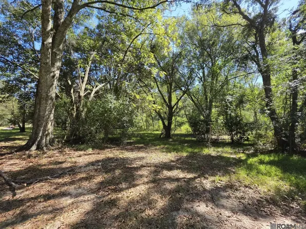 2905 Highway 412 W, Slaughter, LA 70777