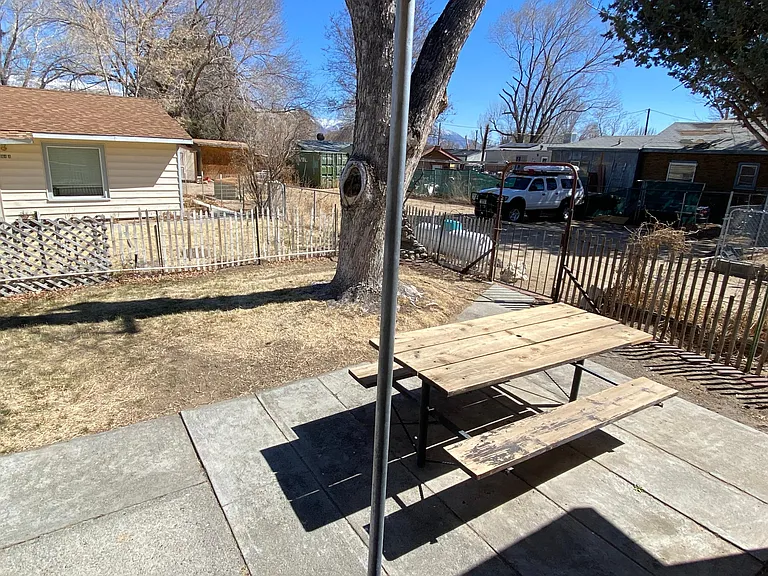 Back yard