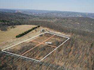 0 Baker Hill Rd, Vestal, NY 13850