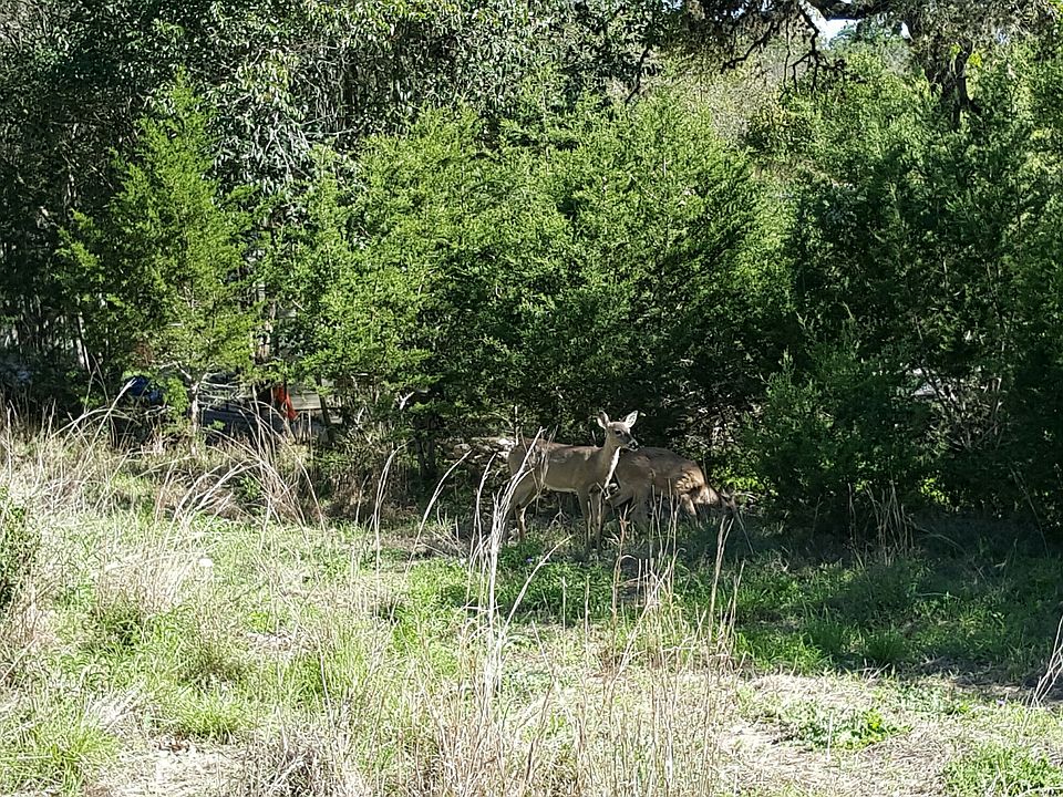 1st image of Canyon Shores Dr Lot 383