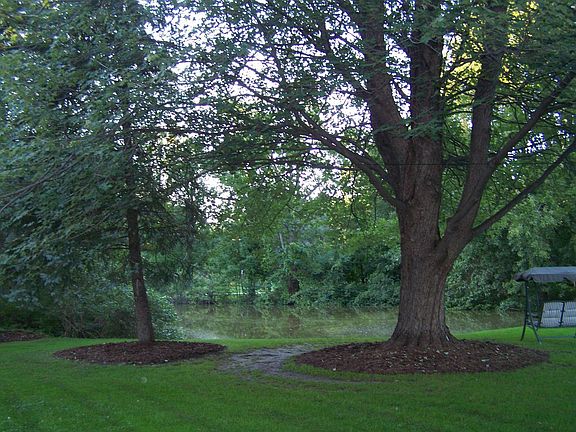 Pond