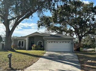 231 Morgan Ct, Palm Harbor, FL 34684