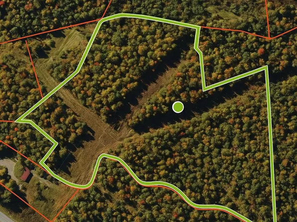 Spruce Run Rd, Summersville, WV 26651