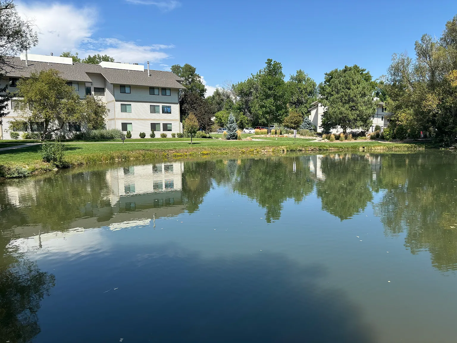 1 bed, 576 sqft, $1,295 — Photo 1