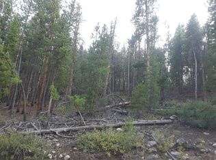 872 Juniper Dr, Leadville, CO 80461