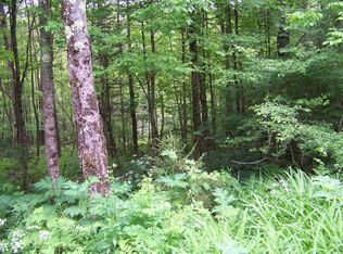 403 Fiske Rd, Rochester, VT 05767