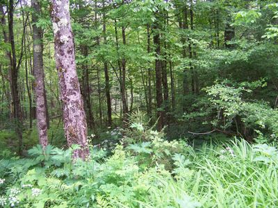 403 Fiske Road, Rochester, VT, 05767