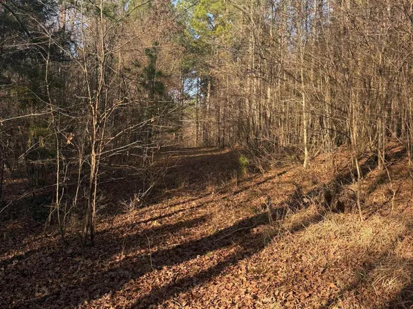 Old Factory Site Rd, Murfreesboro, AR 71958