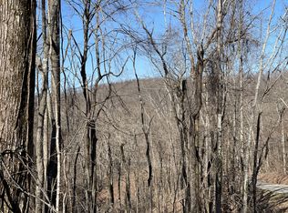 0 Squirrel Flat Rd, Jamestown, TN 38556