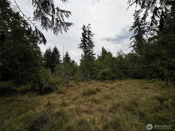 9999 S Bagley St, Port Angeles, WA 98362