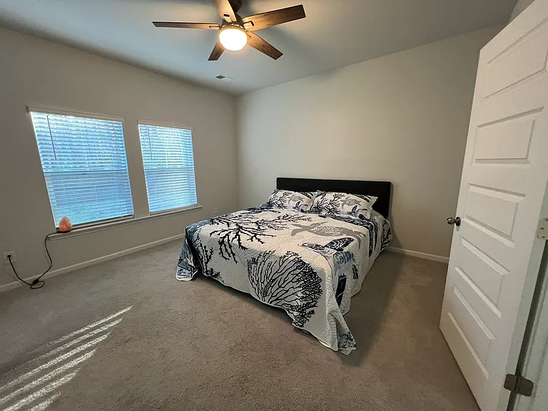 221 Pink Azalea St — Photo 52