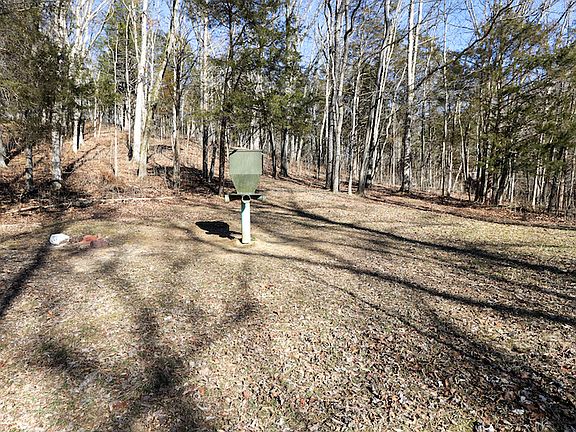 One of the two feeder locations, this one is in the bottom of the draw