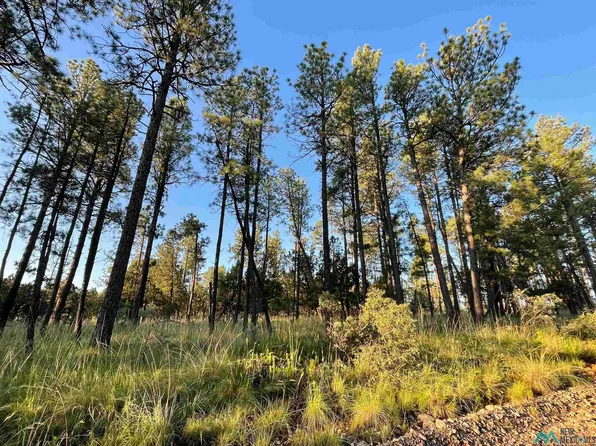 LOT 117 Paradise Valley Dr, Timberon, NM 88350