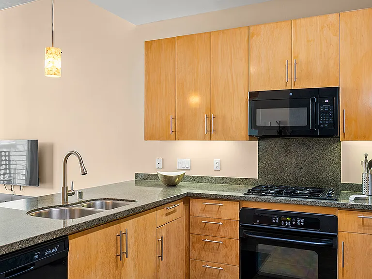 1050 Island Ave #619 — Photo 16