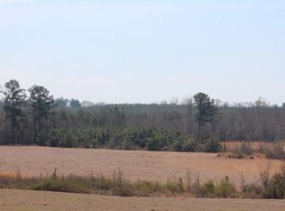 3896 Clark Reese Rd, Thomson, GA 30824