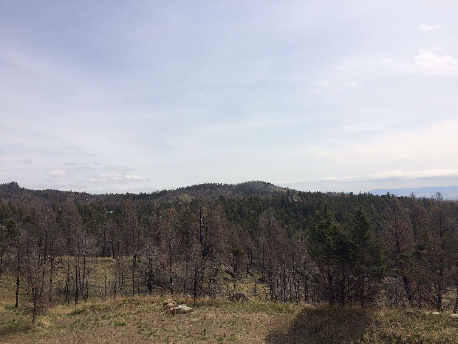 Upper Radar Creek Road, Whitehall, MT 59759 Zillow
