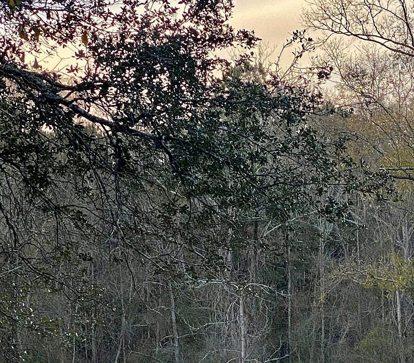 0 J J Rd, Picayune, MS 39466 MLS 179083 Zillow