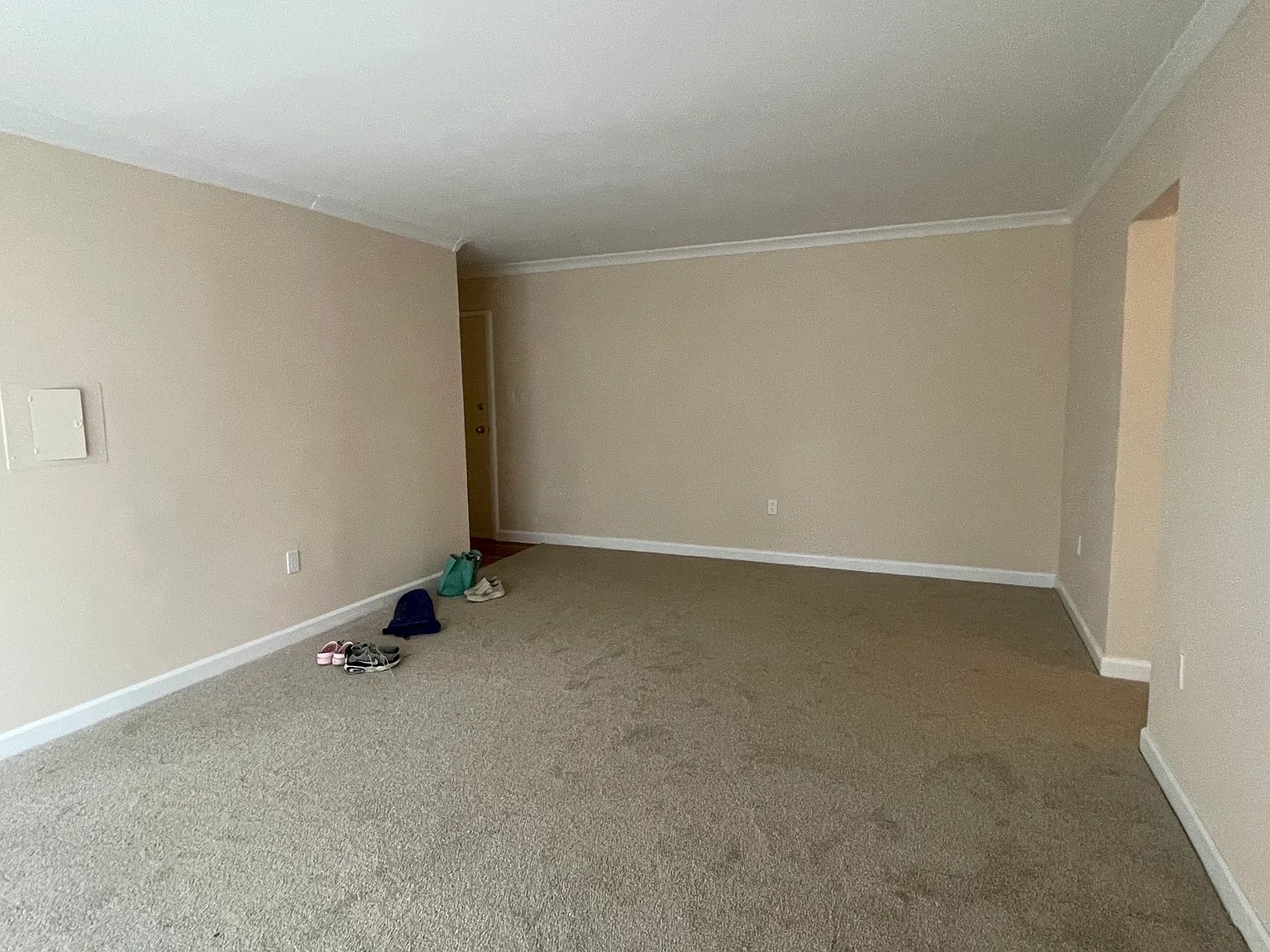 2 bed, 990 sqft, $2,500 — Photo 3