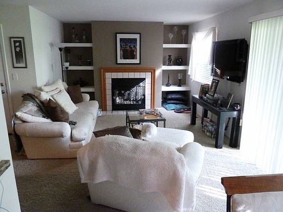 Living Room / Fireplace