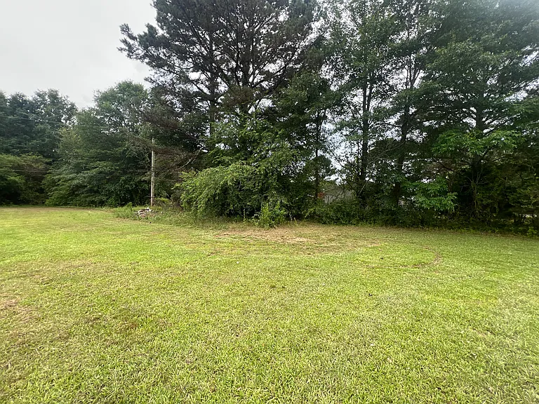 300 County Road 216 — Photo 5