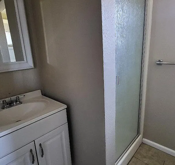 Ensuite Batthroom with Walk-In Shower