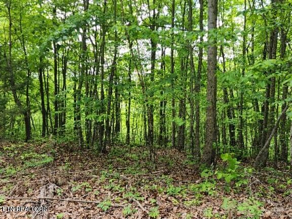 2nd image of Forest Trails Ln