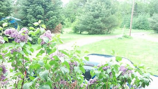 Looking from deck 