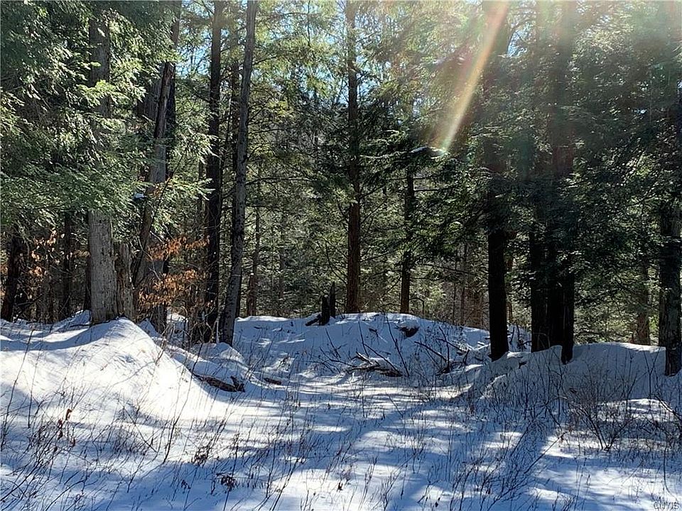 0 Cuyler Hill Rd, Truxton, NY 13158 Zillow