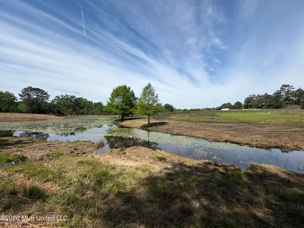 0 N Neely Avera Rd, Neely, MS 39461