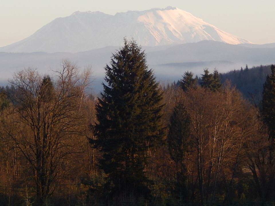 1st image of 154 Maple Ridge Rd