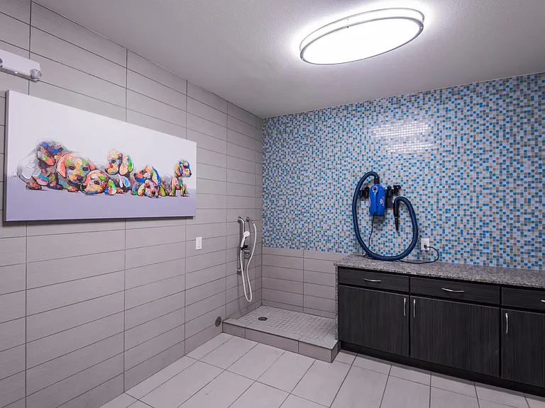 Pet wash station