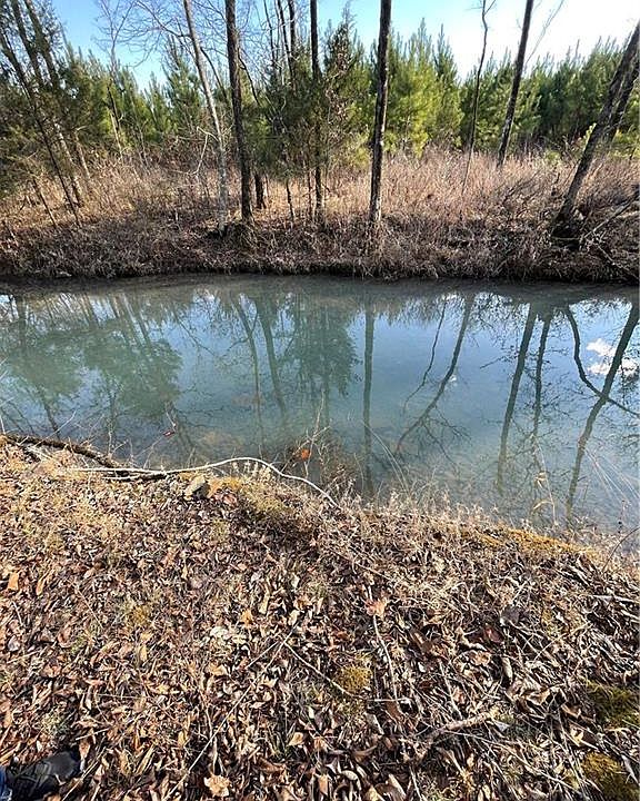 2nd image of 232 Sycamore Bottoms Ln #25