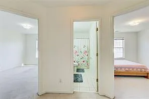 1236 Wetlands Ct — Photo 15